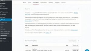 WP Reset plugin